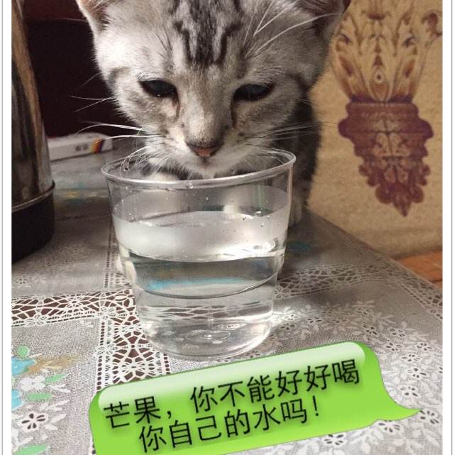 办理布伦瑞克工业大学学历认证